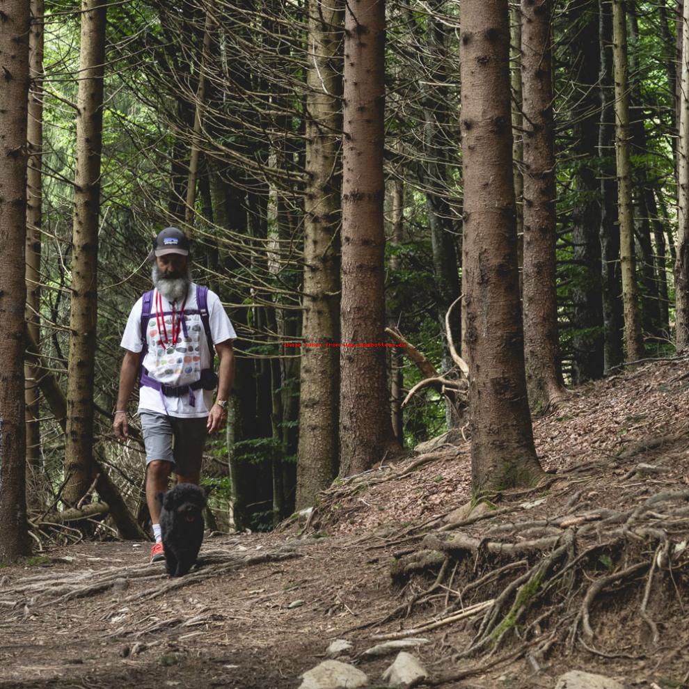 Una passeggiata in Cansiglio.